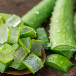 Aloe vera - Candle fragrance oil