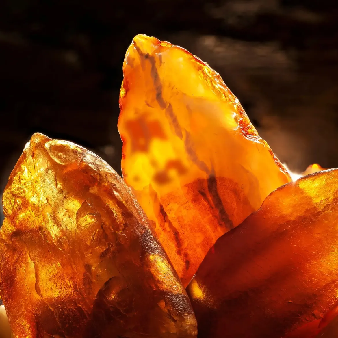 Amber water - Candle fragrance oil