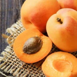 Apricot Ornat - Candle fragrance oil