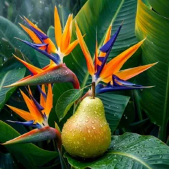 Bird of paradise - Candle fragrance oil