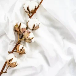 Cashmere flower - Laundry fragrance