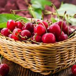 Cherry - Candle fragrance oil