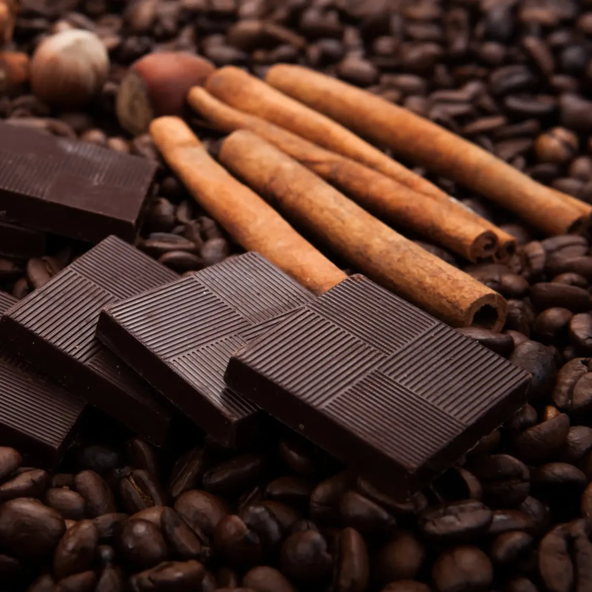 Cinnamon chocolate - Candle fragrance oil