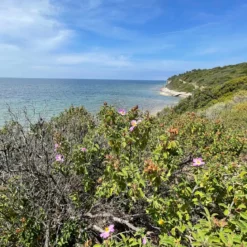 Corsican scrubland - Candle fragrance oil