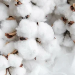 Cotton flower Boost - Candle fragrance oil