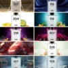 Discovery pack - Dupes