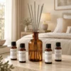 Discovery pack - Reed diffuser refill