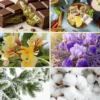 Discovery set - Boost fragrances for candles