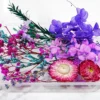 Dried flowers- Fantasy bouquet