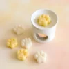 Fondant kit - My first scented fondants