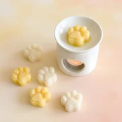 Fondant kit - My first scented fondants