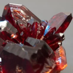 Garnet - Candle fragrance oil