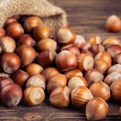 Hazelnut burst Boost - Candle fragrance oil