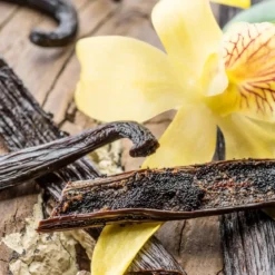 Island vanilla - Candle fragrance oil