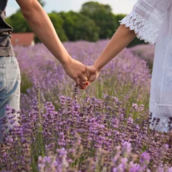 Love in the meadow - Candle fragrance oil