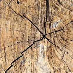 Madera preciosa - Candle fragrance oil