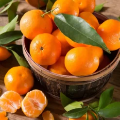 Mandarin - Candle fragrance oil