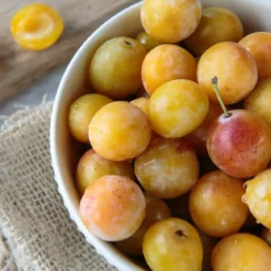 Mirabelle plum - Candle fragrance oil