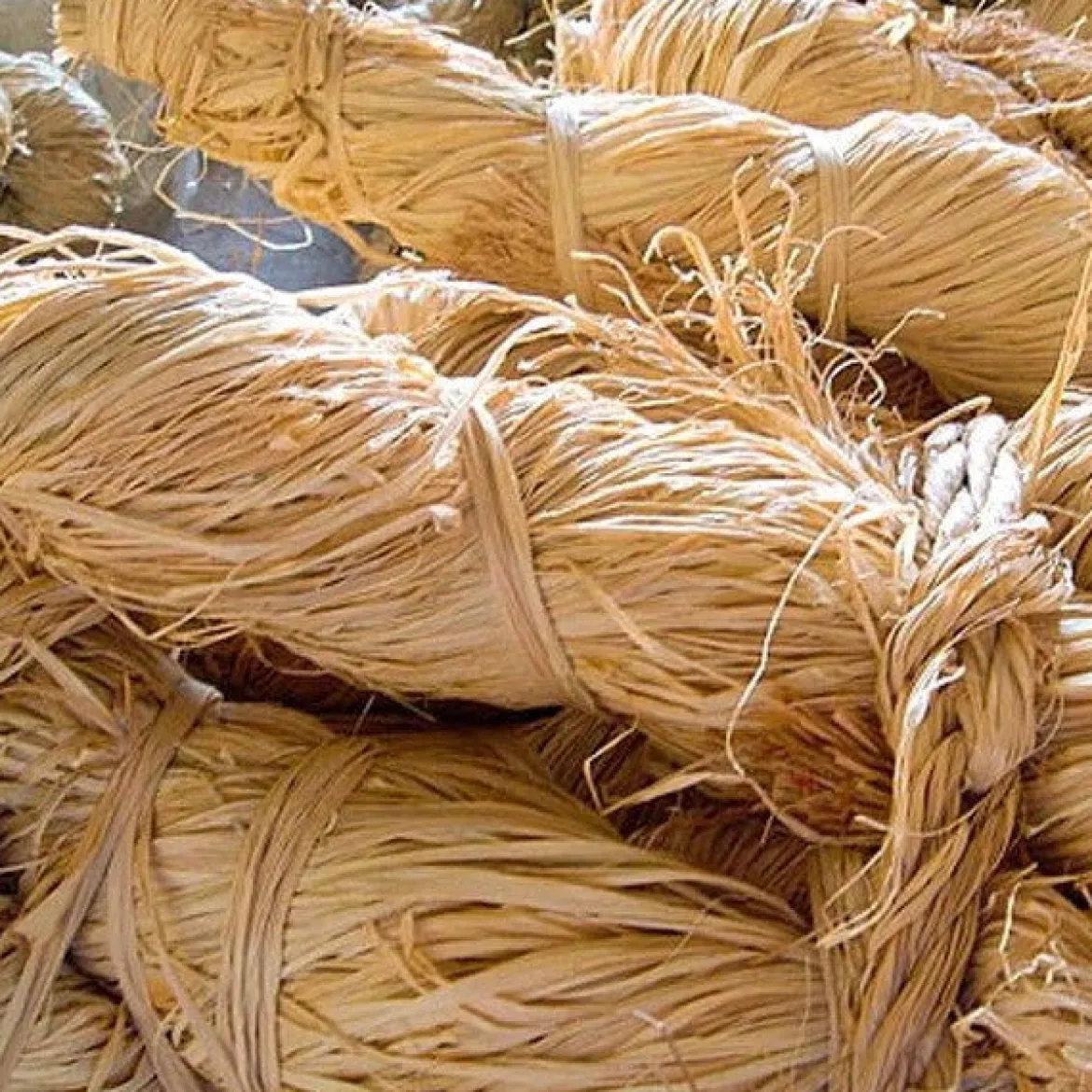 Natural plant raffia from Madagascar