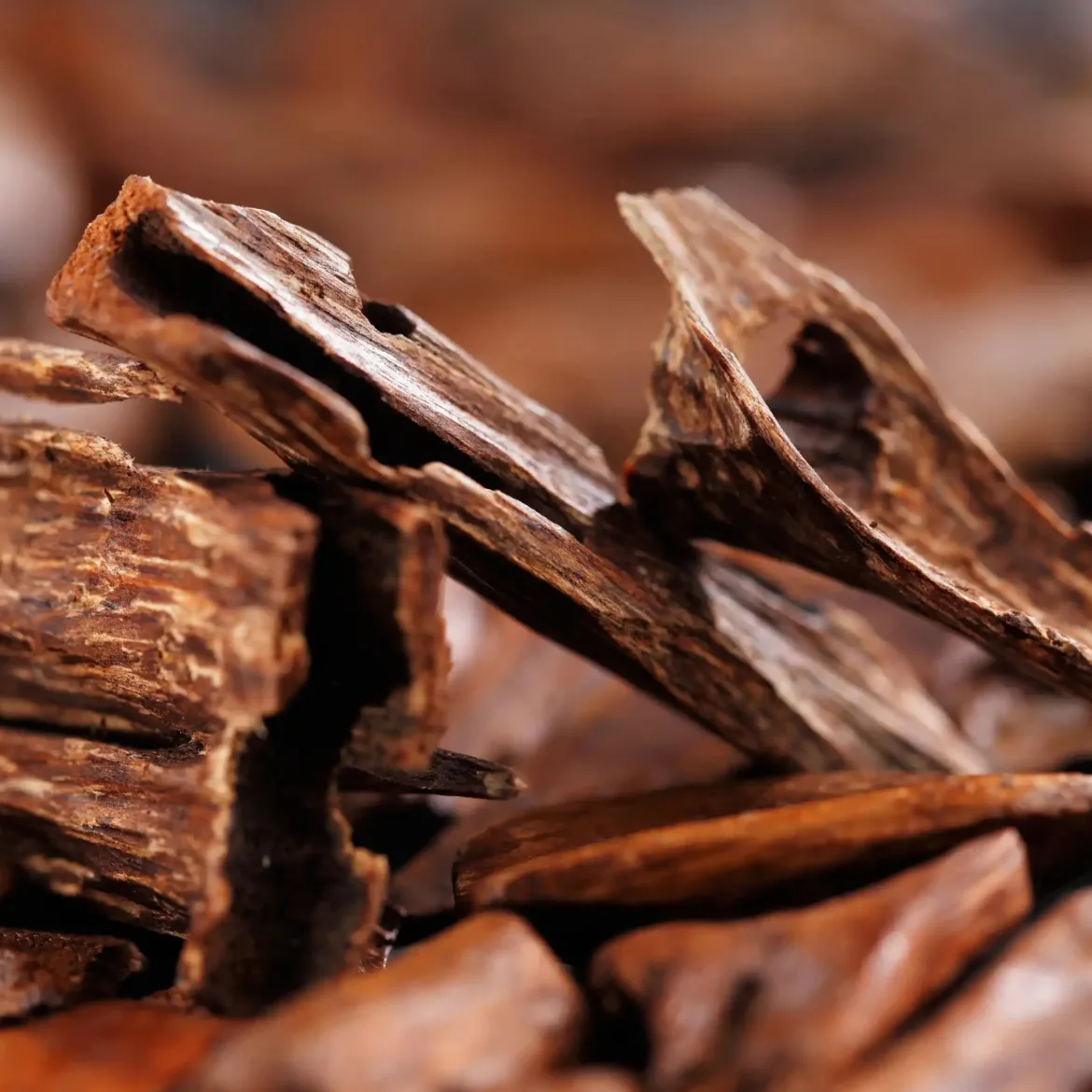 Noble oud - Candle fragrance oil