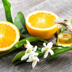 Orange blossom Boost - Candle fragrance oil