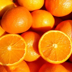 Orange - Candle fragrance oil