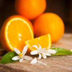 Orange petals - Candle fragrance oil