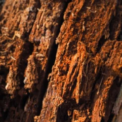 Oud wood - Candle fragrance oil