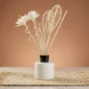 Pack of rods for diffusers