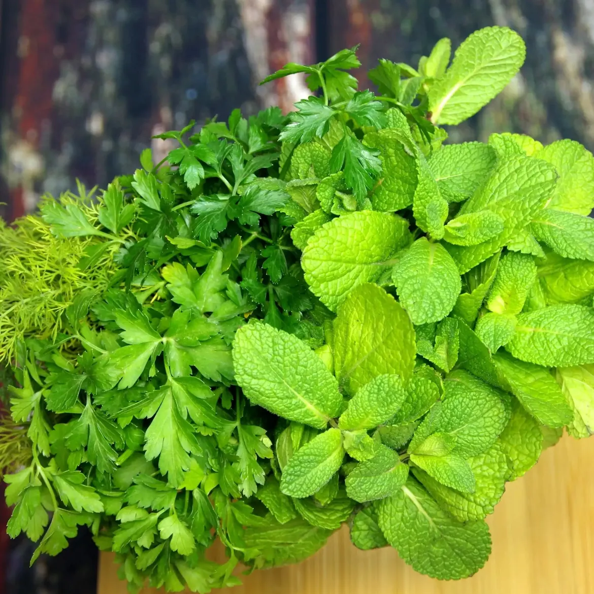 Parsley mint - Candle fragrance oil