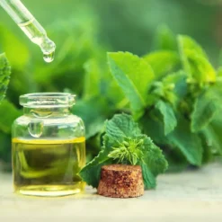 Peppermint - Candle fragrance oil