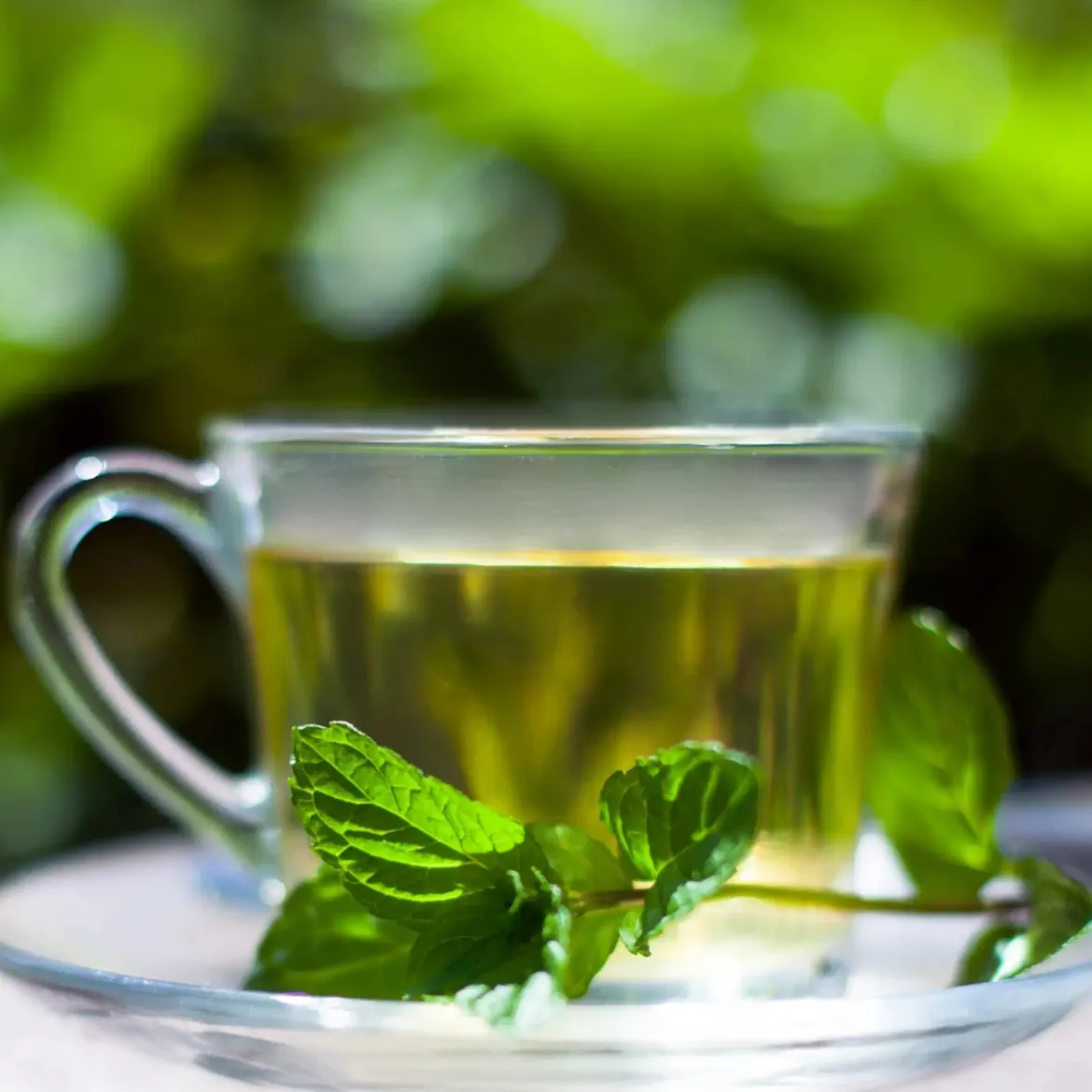 Pure tea - Candle fragrance oil