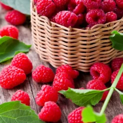 Raspberry - Candle fragrance oil