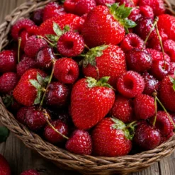Red berries - Mist fragrance