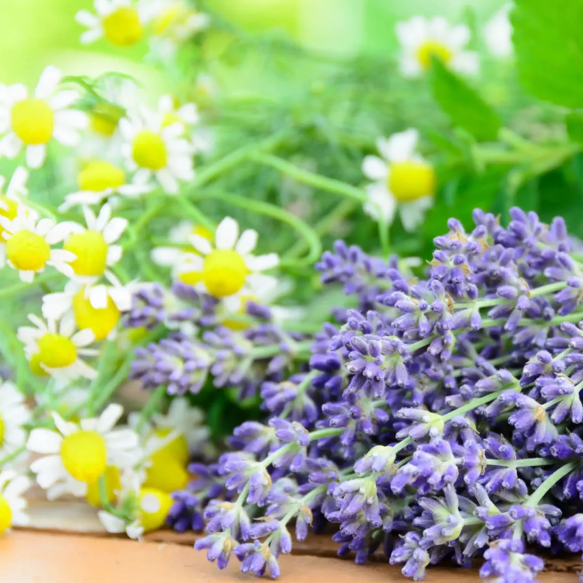 Relaxing lavender and chamomile - Mist fragrance