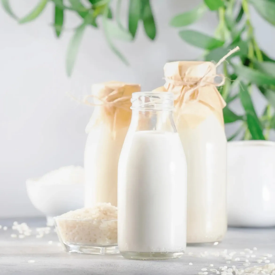 Rice milk - Candle fragrance oil