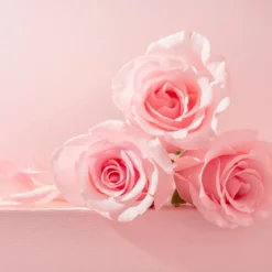 Rose - Candle fragrance oil