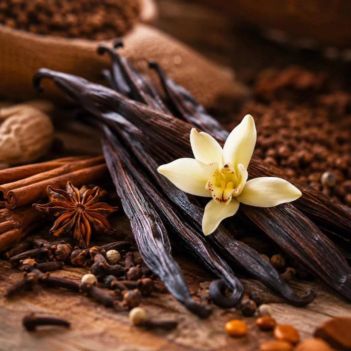 Spiced vanilla - Candle fragrance oil