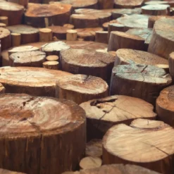Teak wood - Candle fragrance oil