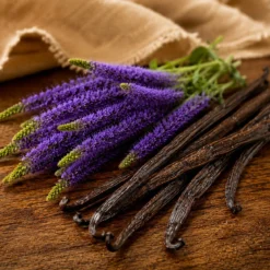 Vanilla and patchouli - Candle fragrance oil