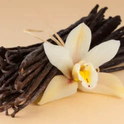 Vanilla - Candle fragrance oil
