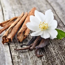 Vanilla cinnamon - Candle fragrance oil