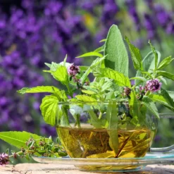 Verbena and peppermint - Candle fragrance oil