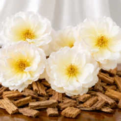 White musk - Candle fragrance oil